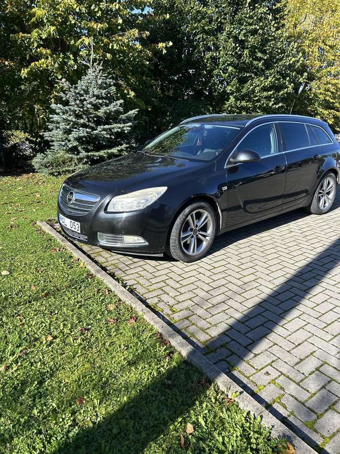 Opel Insignia 2010 — вигляд ззаду