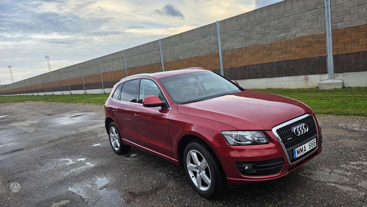 Audi Q5 2009 — вигляд ззаду