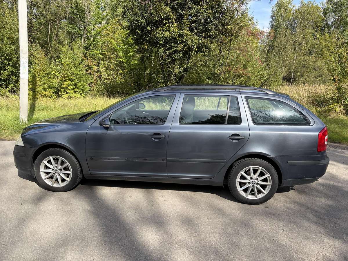 Skoda Octavia 2008 — вигляд ззаду