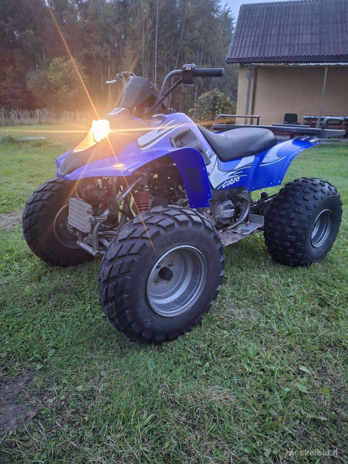 ATV 250cc 2006 — фото 5