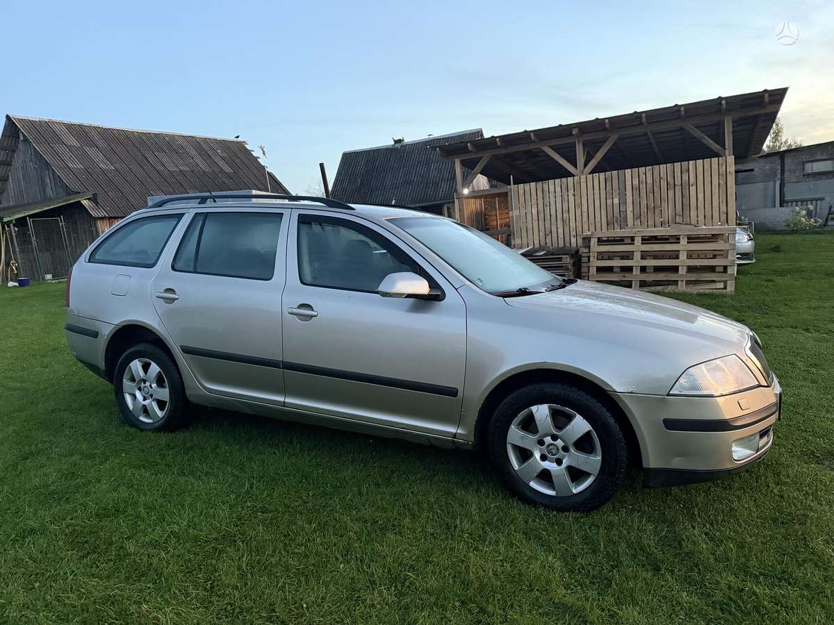 Skoda Octavia 2006 — вигляд ззаду