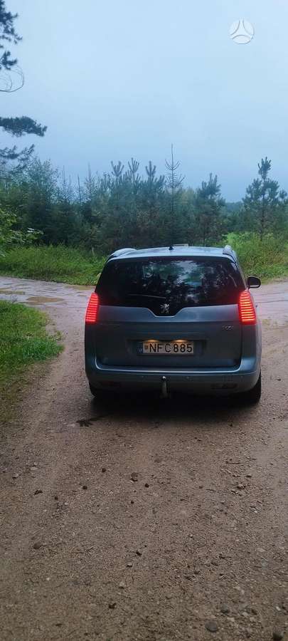 Peugeot 5008 2010 — вигляд ззаду