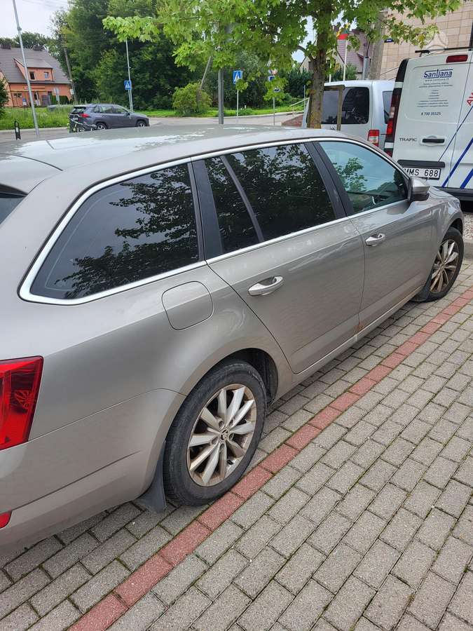 Skoda Octavia 2014 — rear view