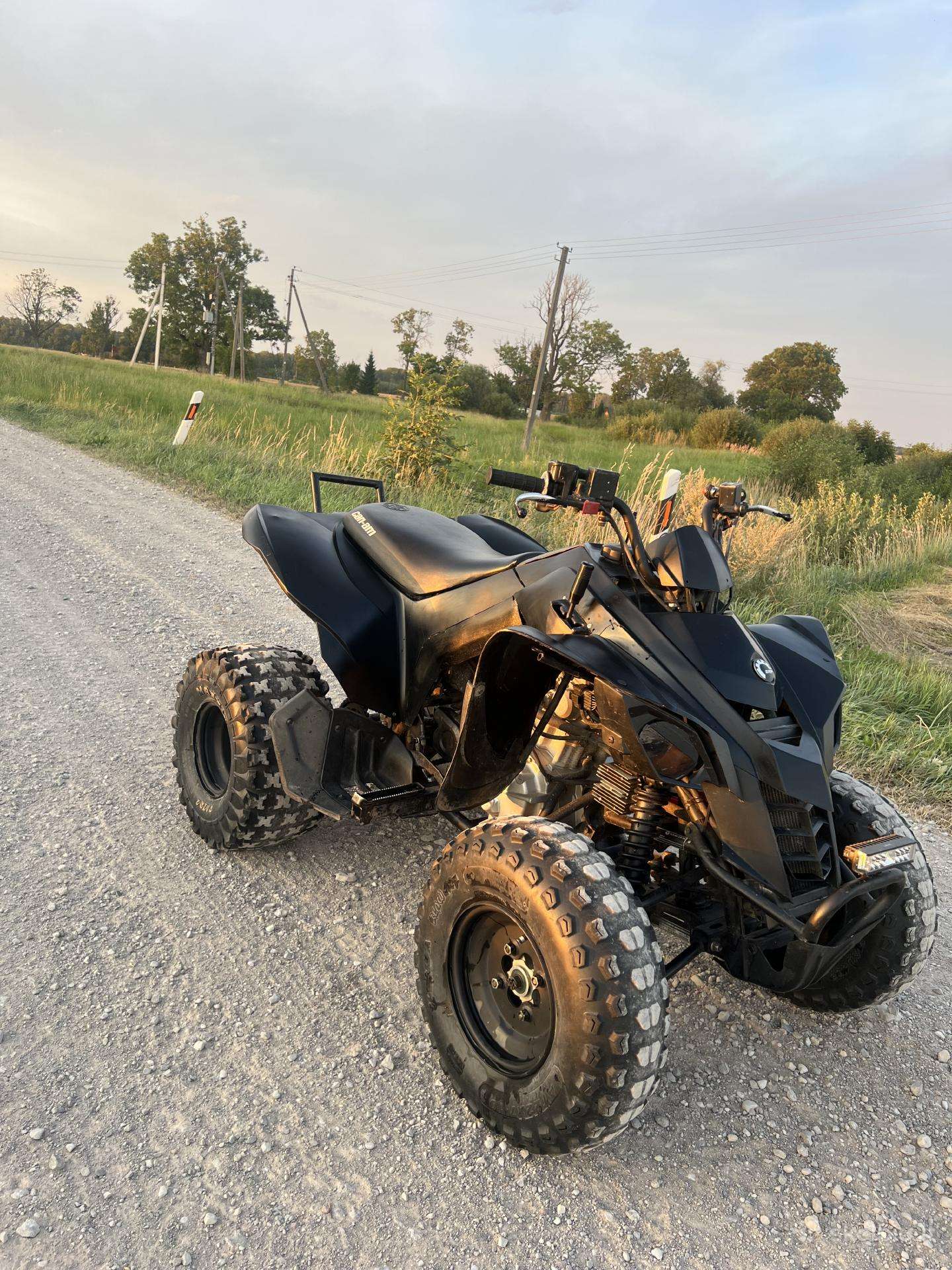Can-Am DS 2007 — rear view