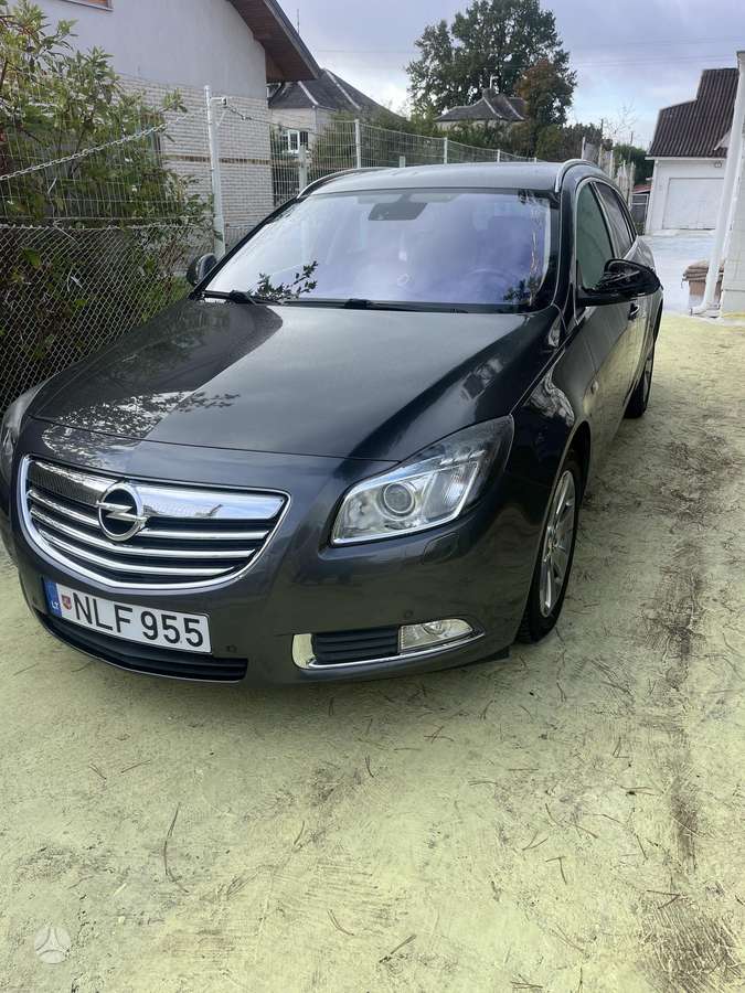 Opel Insignia 2010 — вигляд ззаду