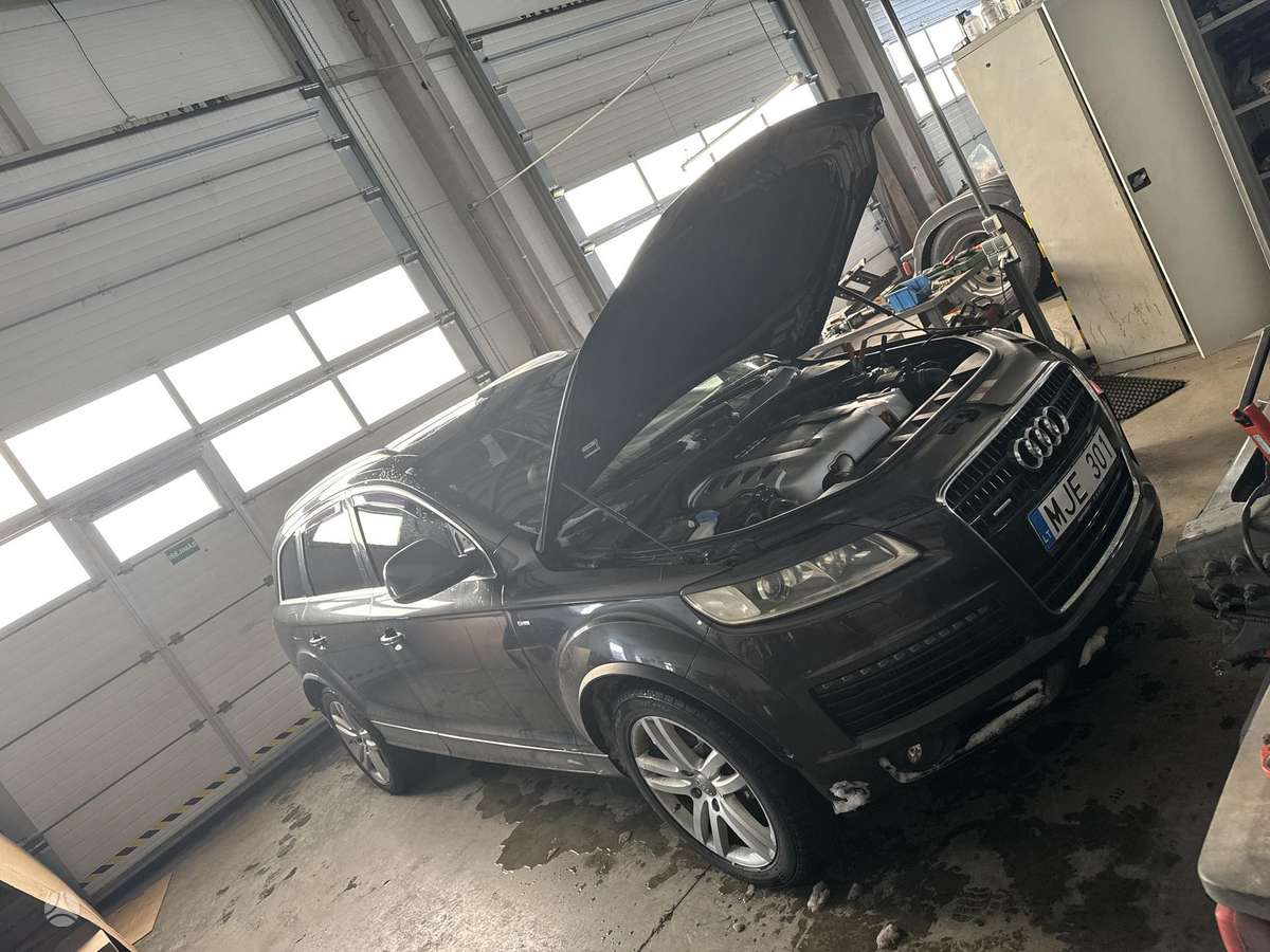 Audi A6 2008 — rear view