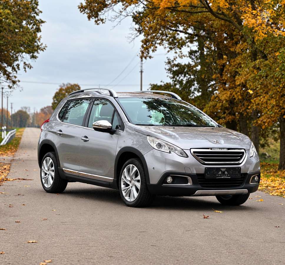 Peugeot 2008 2015 — rear view
