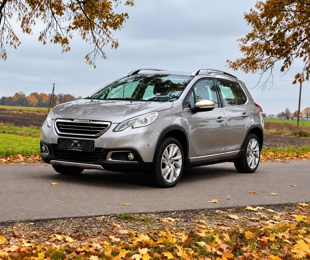 Peugeot 2008 2015 — photo 5