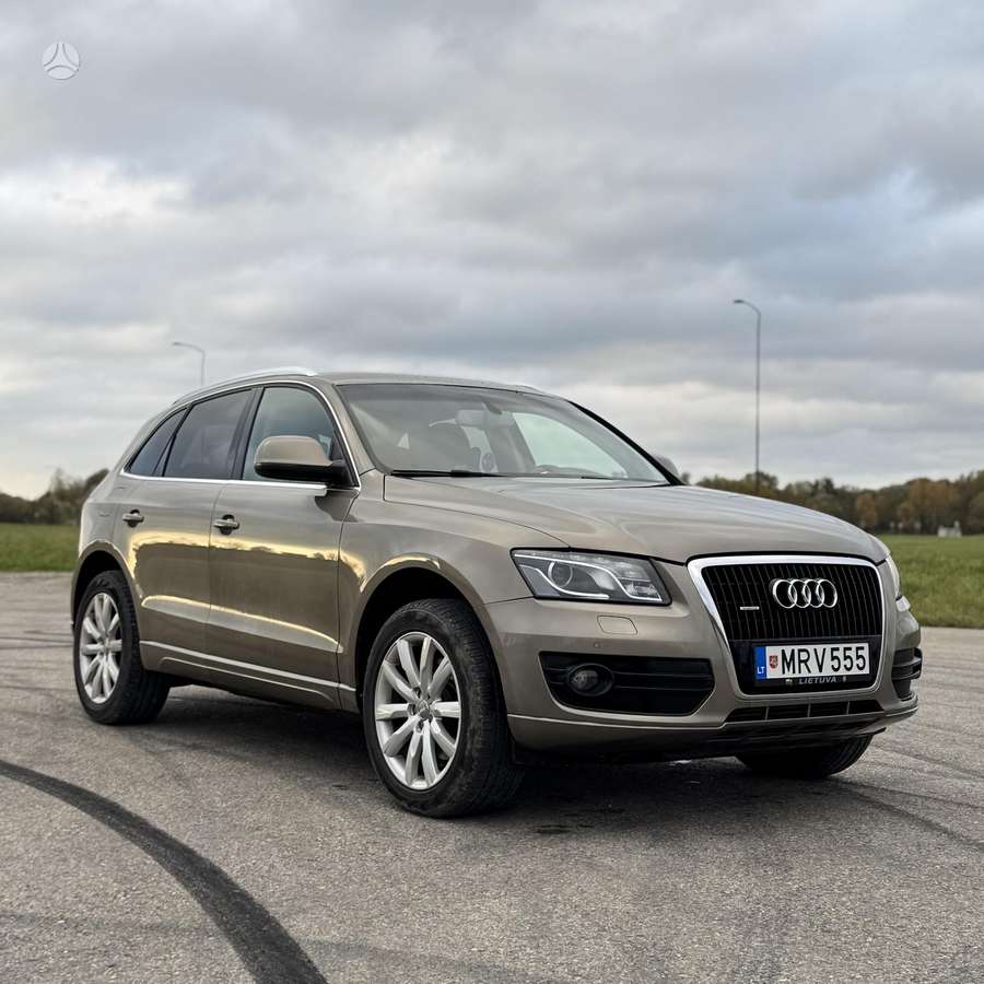Audi Q5 2010 — rear view
