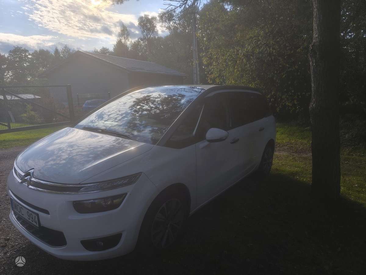 Citroen Grand 2015 — вигляд ззаду