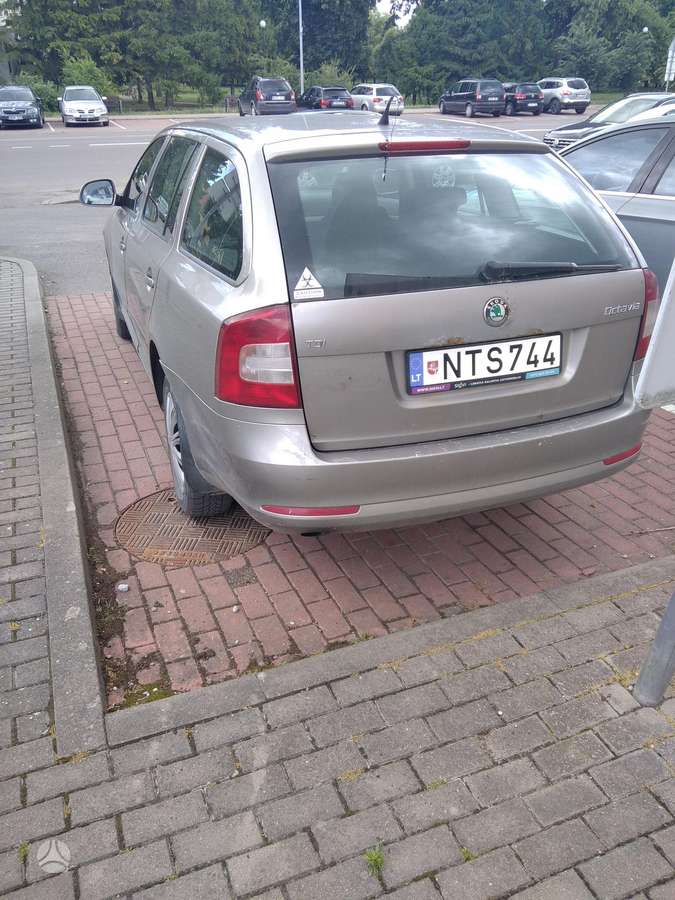 Skoda Octavia 2012 — rear view