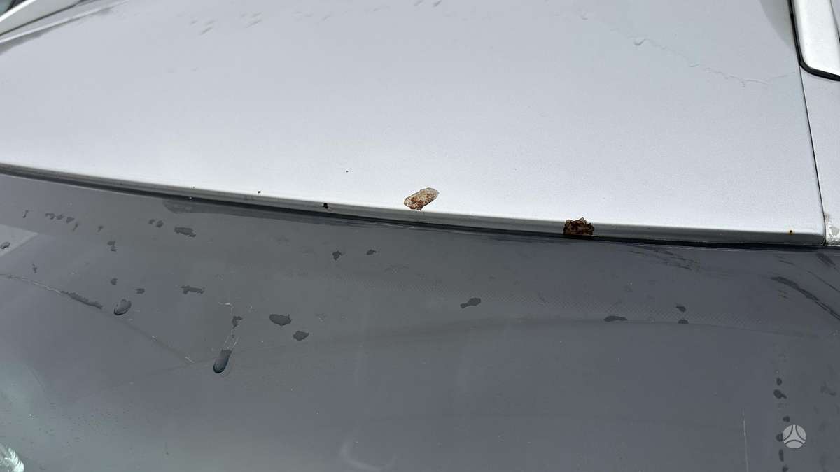 Audi A4 2006 — photo 20