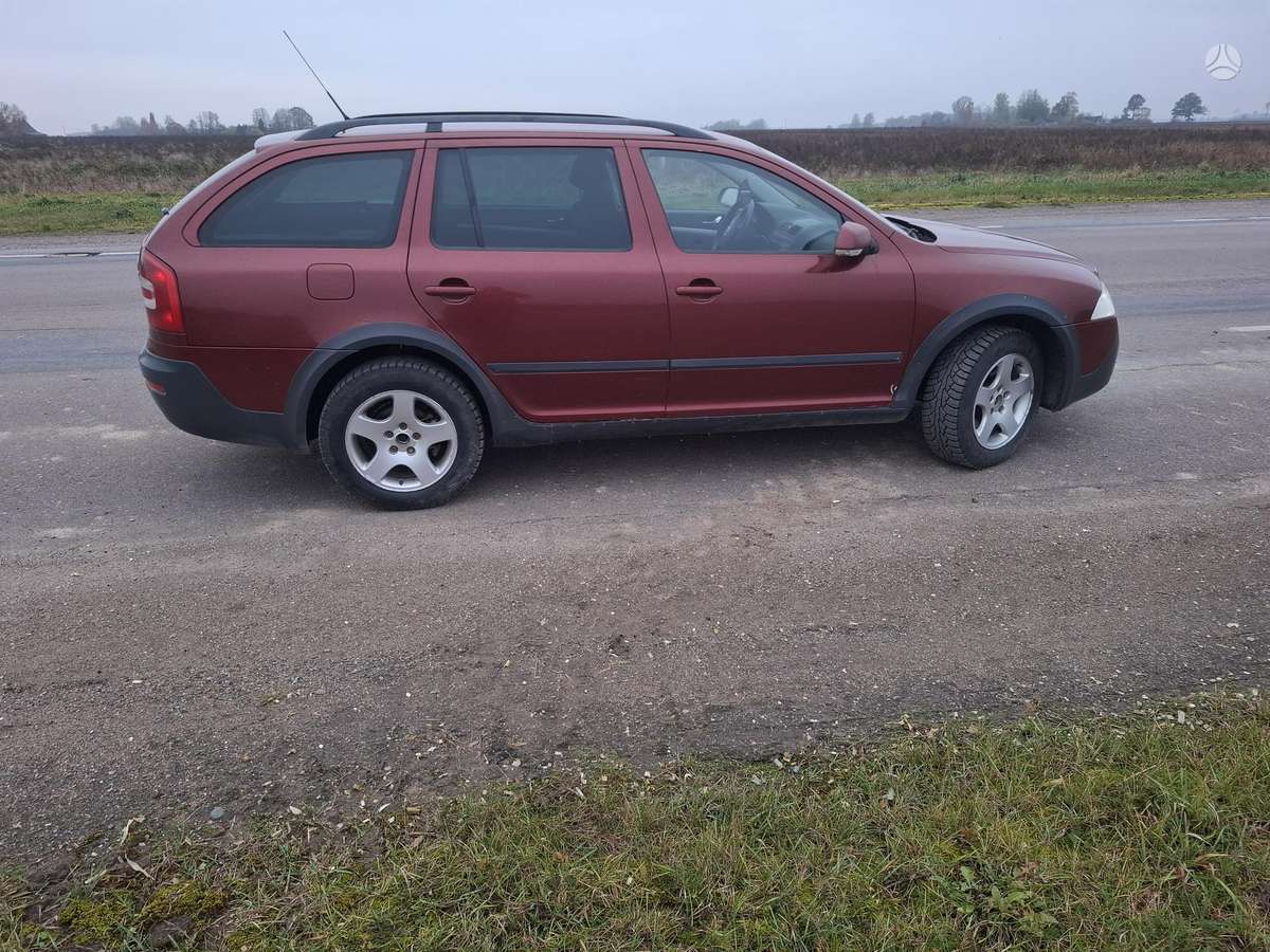Skoda Octavia 2007 — rear view