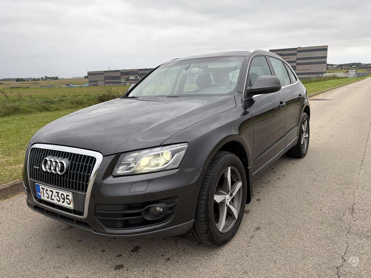 Audi Q5 2010 — вигляд ззаду