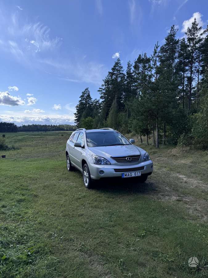 Lexus RX, 2010