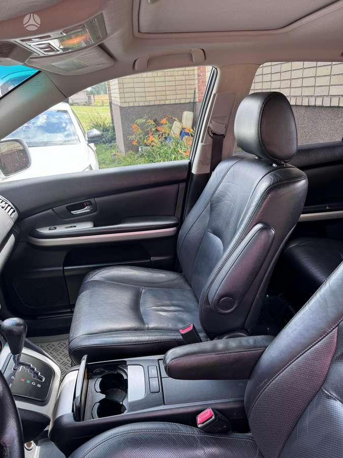 Lexus RX 2010 — photo 19