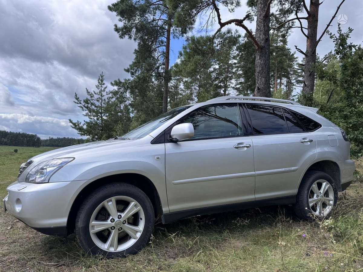Lexus RX 2010 — rear view