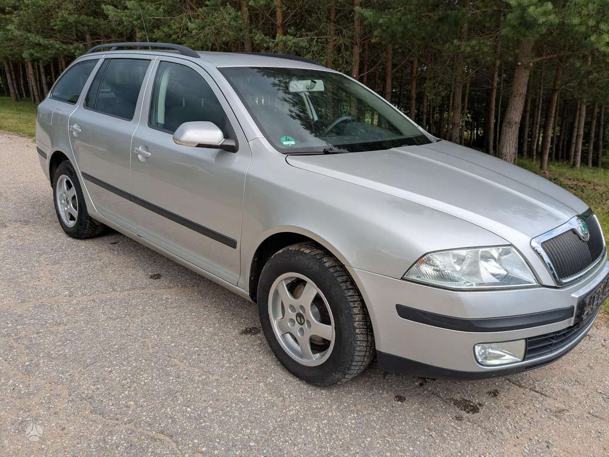 Skoda Octavia 2005 — вигляд ззаду