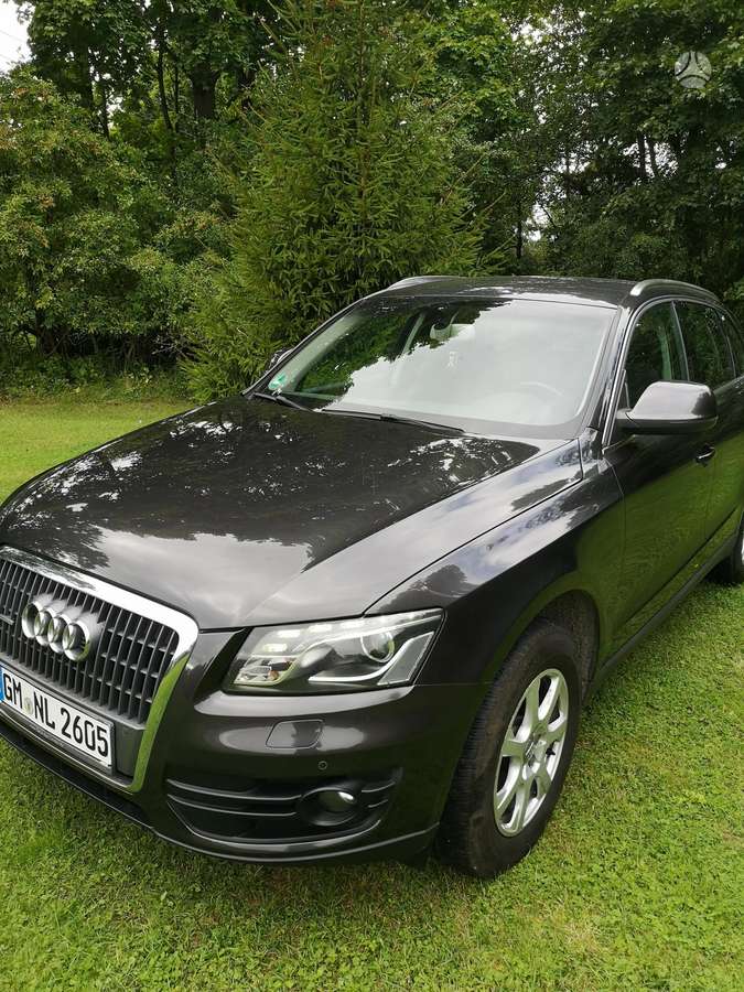 Audi Q5 2009 — rear view