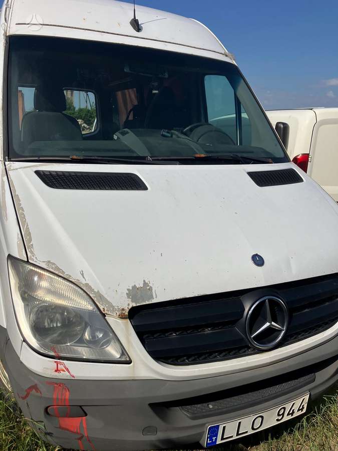 Mercedes-Benz Sprinter 2009 — rear view