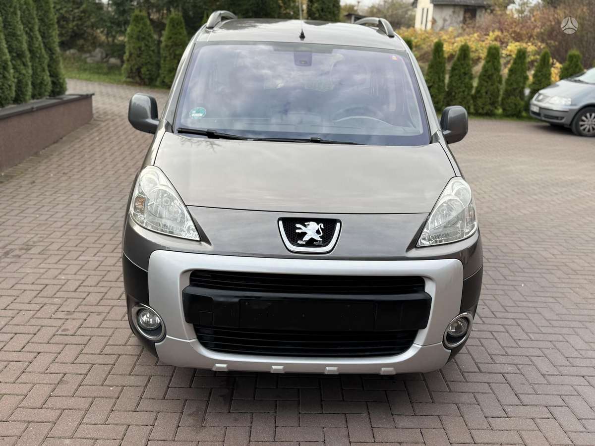 Peugeot Partner 2009 — rear view
