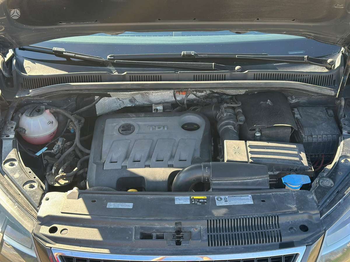 Seat Alhambra 2014 — photo 15