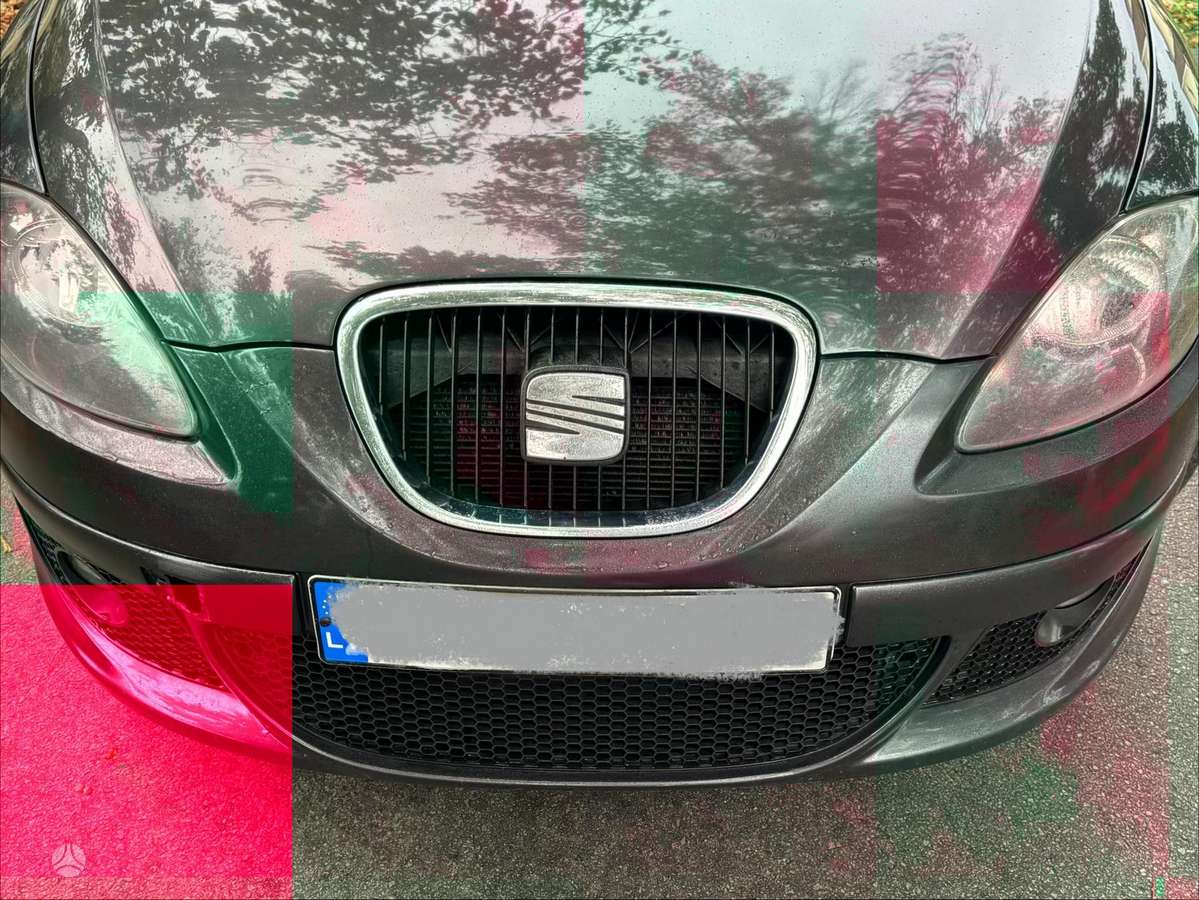 Seat Altea 2004 — photo 16