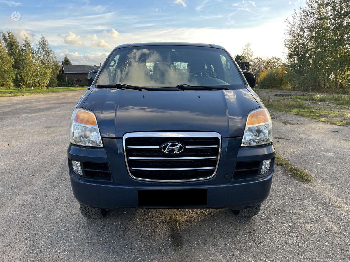 Hyundai H1 2006 — вигляд ззаду