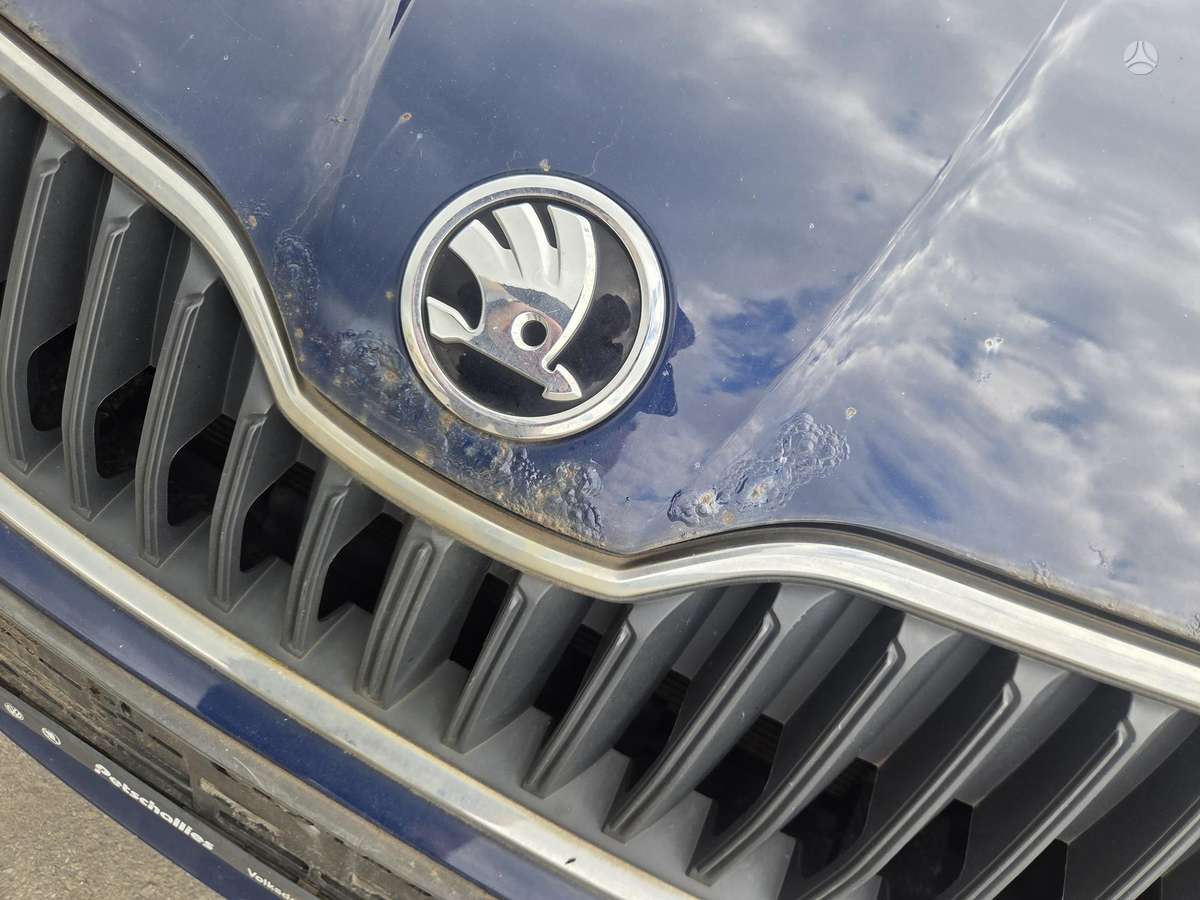 Skoda Fabia 2015 — photo 11