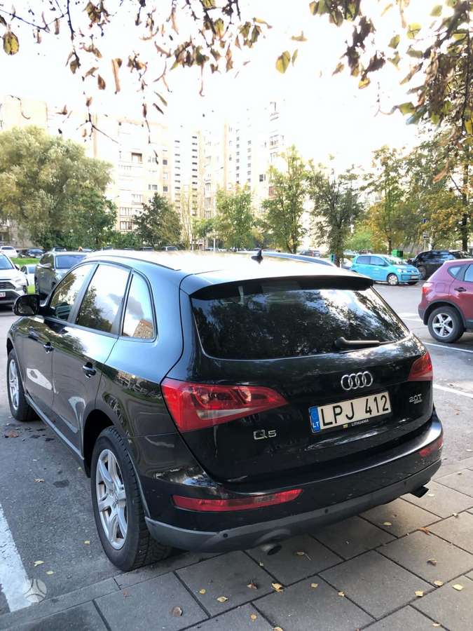 Audi Q5 2009 — rear view