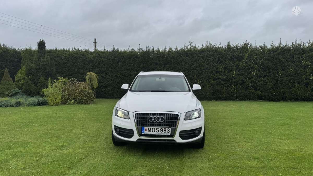 Audi Q5 2011 — вигляд ззаду