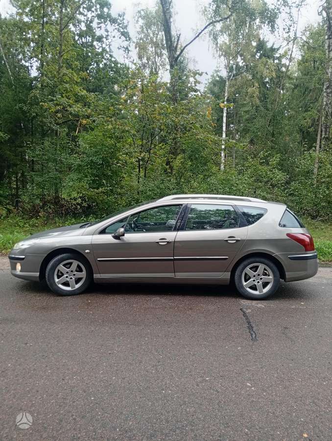 Peugeot 407 2005 — вигляд ззаду