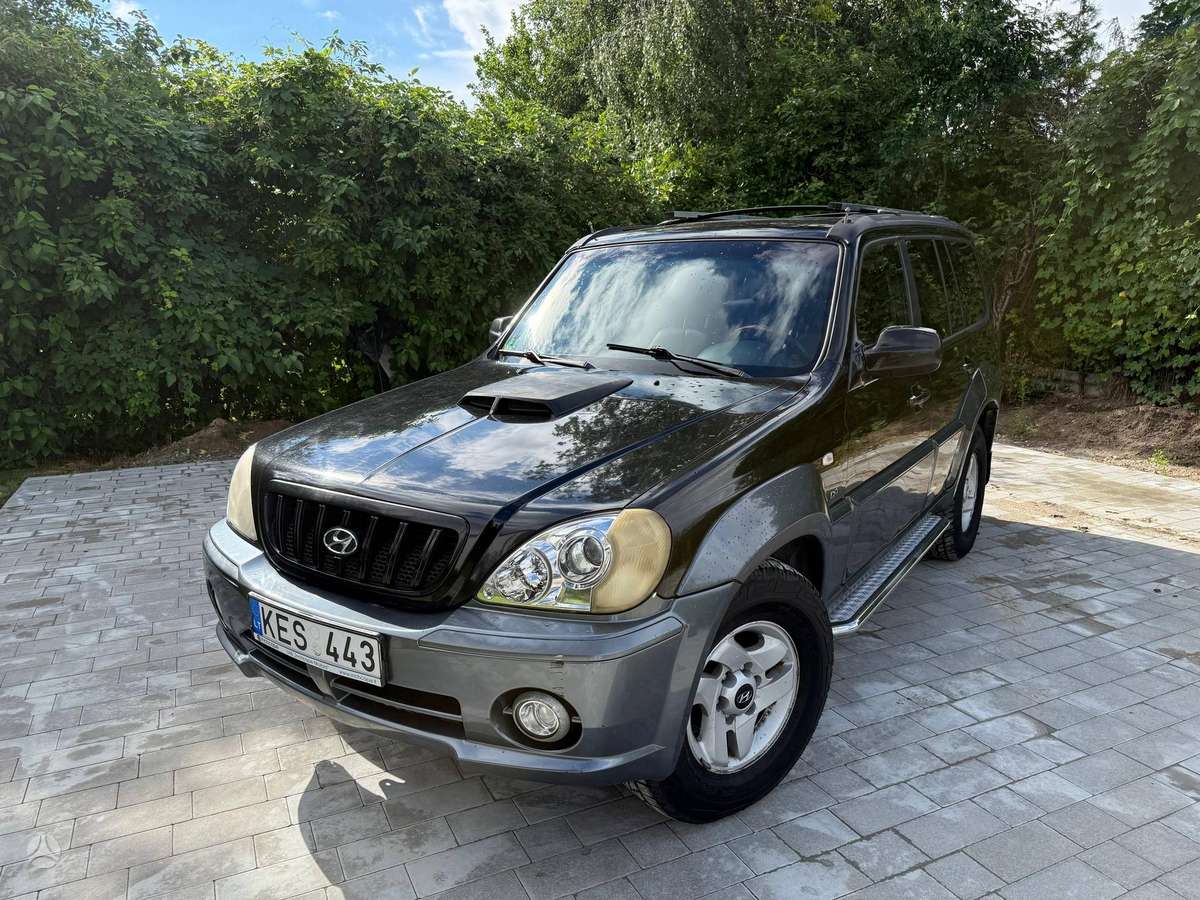 Hyundai Terracan 2004 — вигляд ззаду