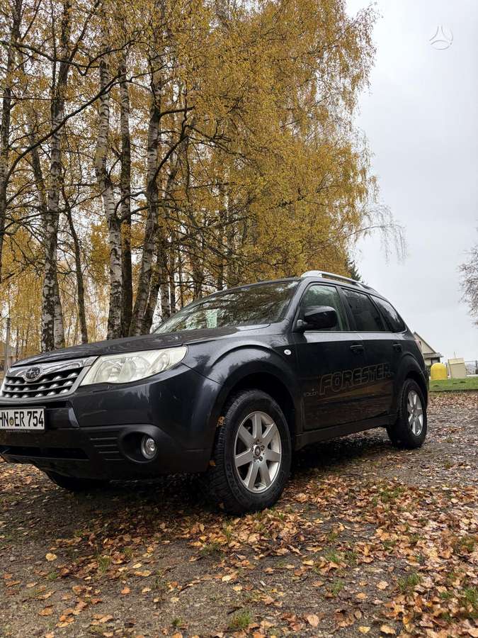 Subaru Forester 2012 — вигляд ззаду