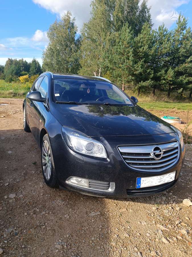 Opel Insignia, 2010