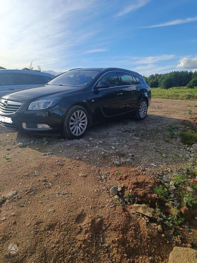 Opel Insignia 2010 — вигляд ззаду
