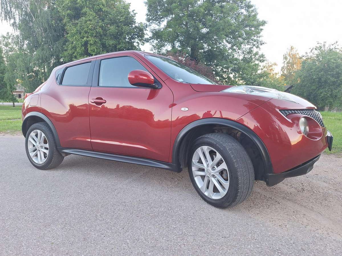 Nissan Juke 2010 — вигляд ззаду