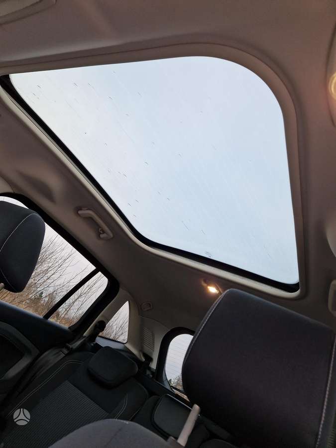 Ford Grand 2014 — photo 15