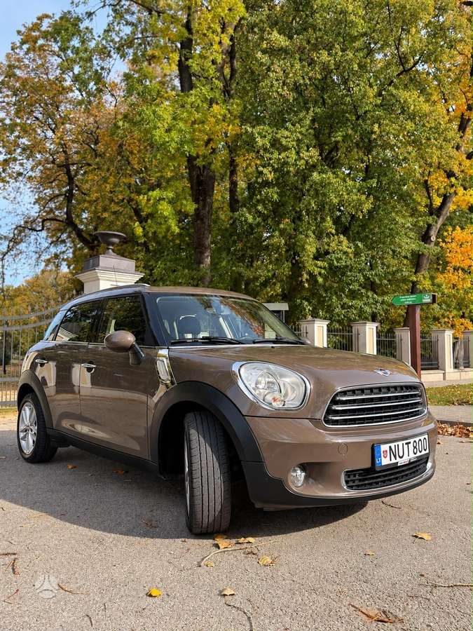 Mini Countryman 2011 — вигляд ззаду