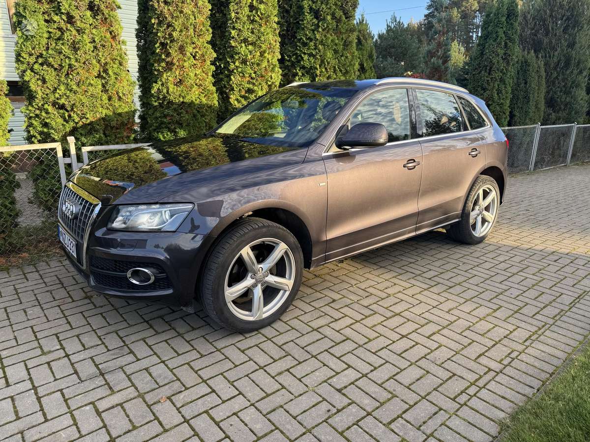 Audi Q5 2009 — вигляд ззаду