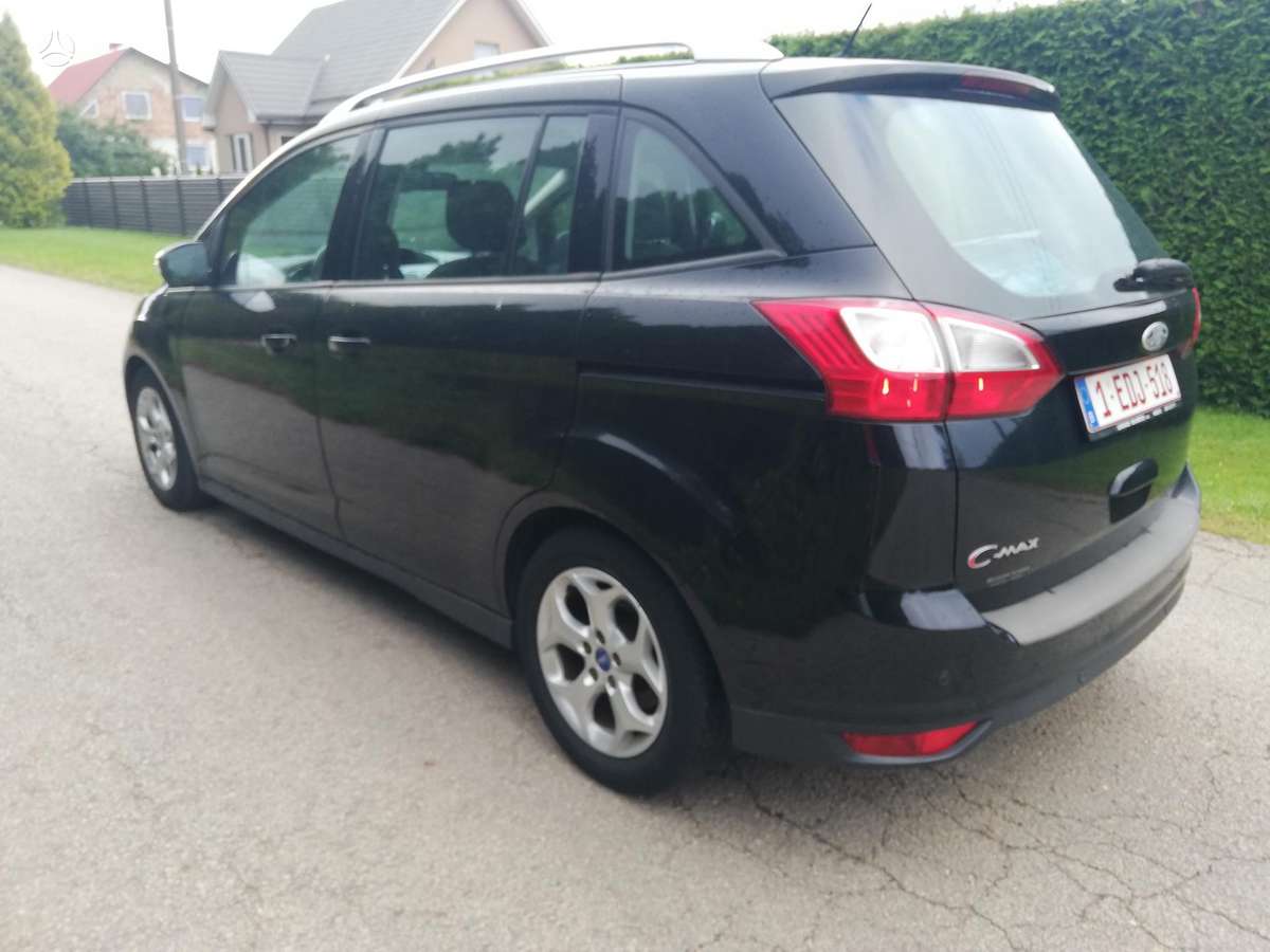 Ford Grand 2011 — photo 8