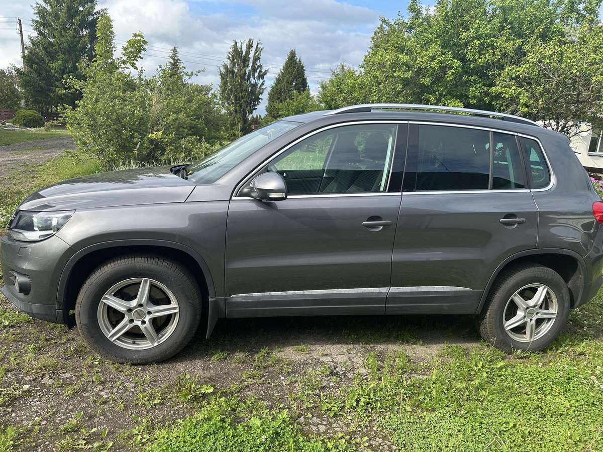 Volkswagen Tiguan 2011 — rear view