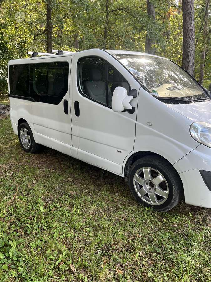 Opel Vivaro 2011 — rear view