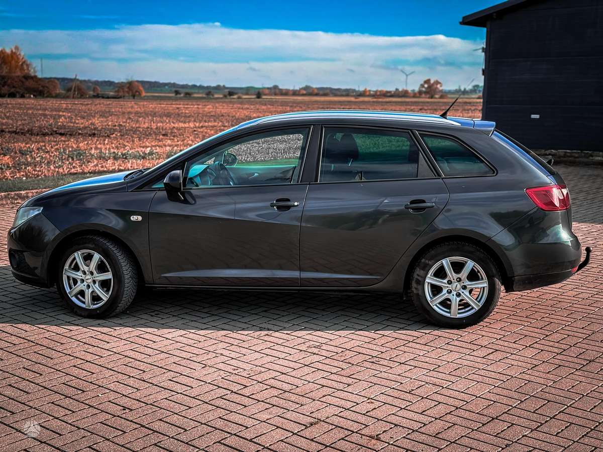 Seat Ibiza 2011 — rear view