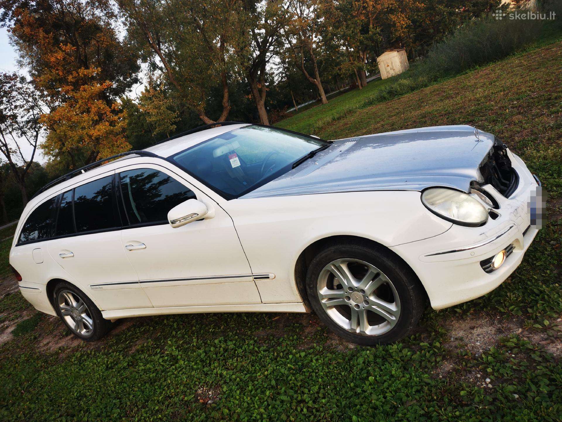 Mercedes-Benz E220 2007 — вигляд ззаду