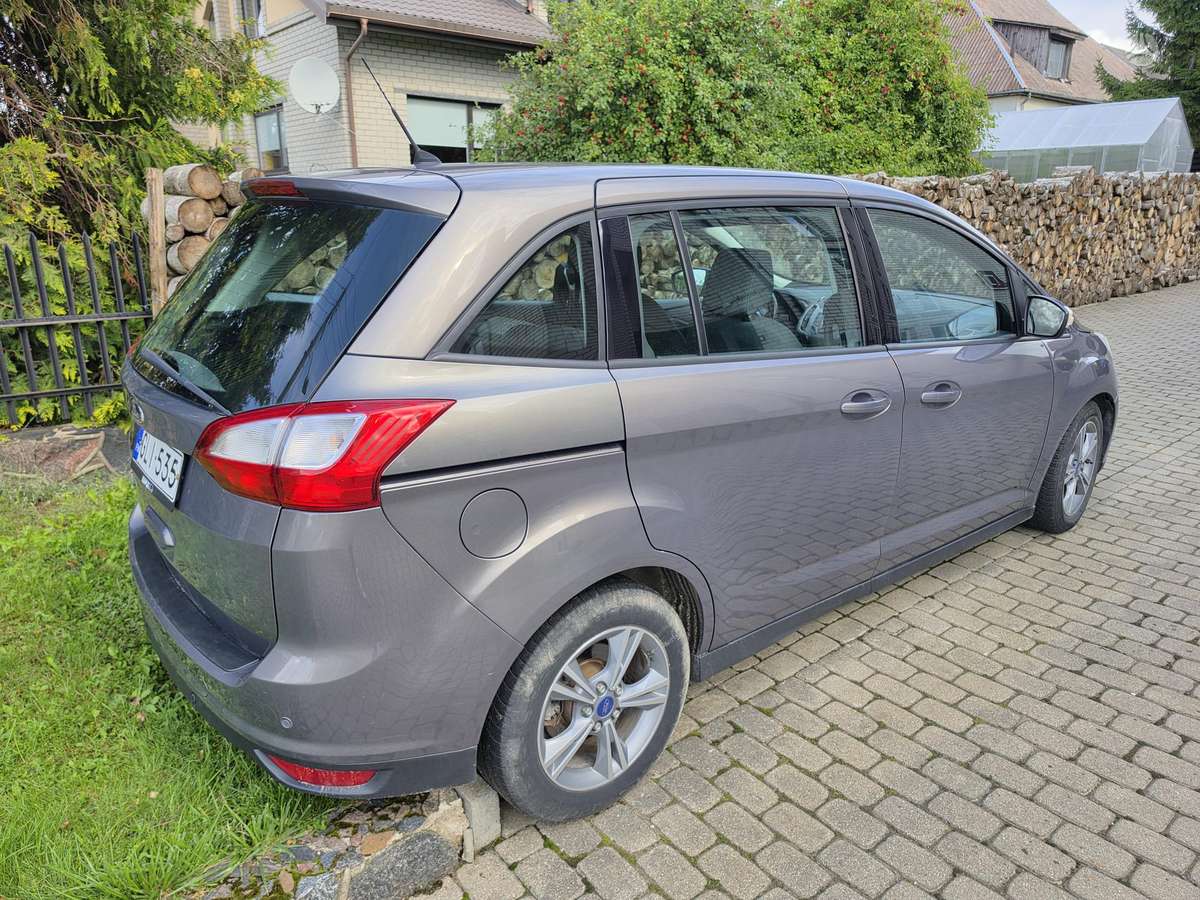 Ford C-MAX 2014 — rear view