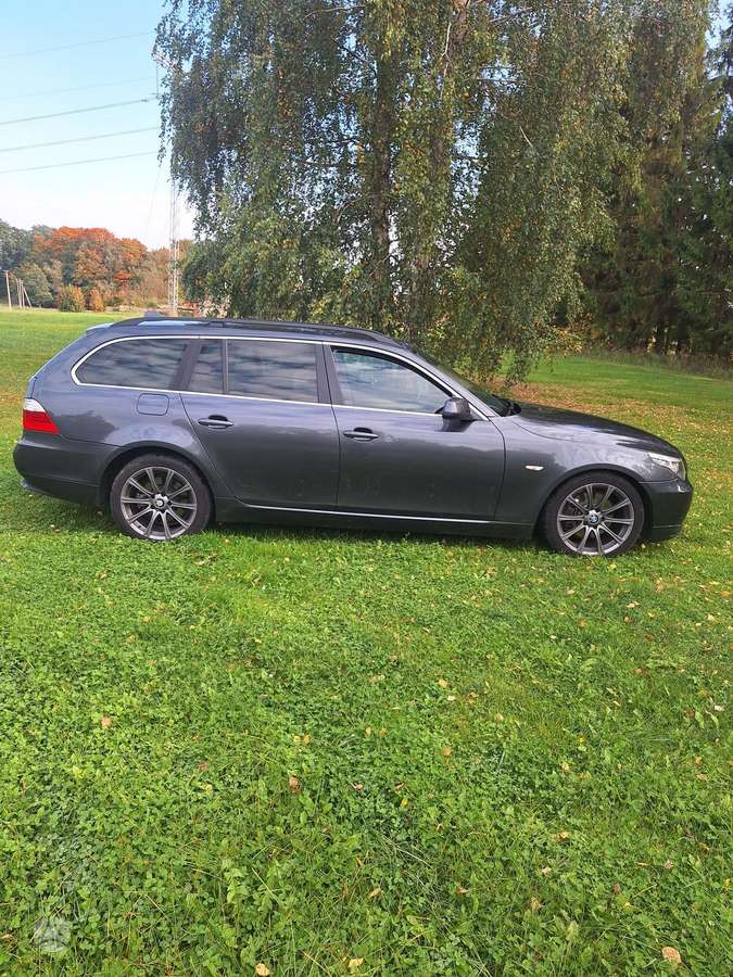 BMW 520 2009 — вигляд ззаду