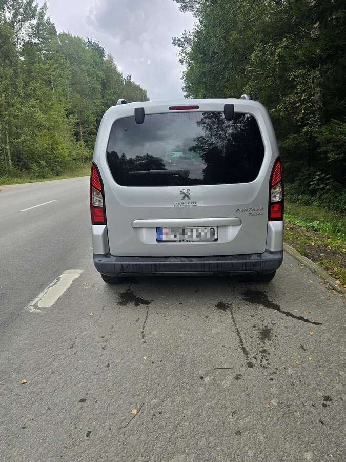 Peugeot Partner 2014 — rear view