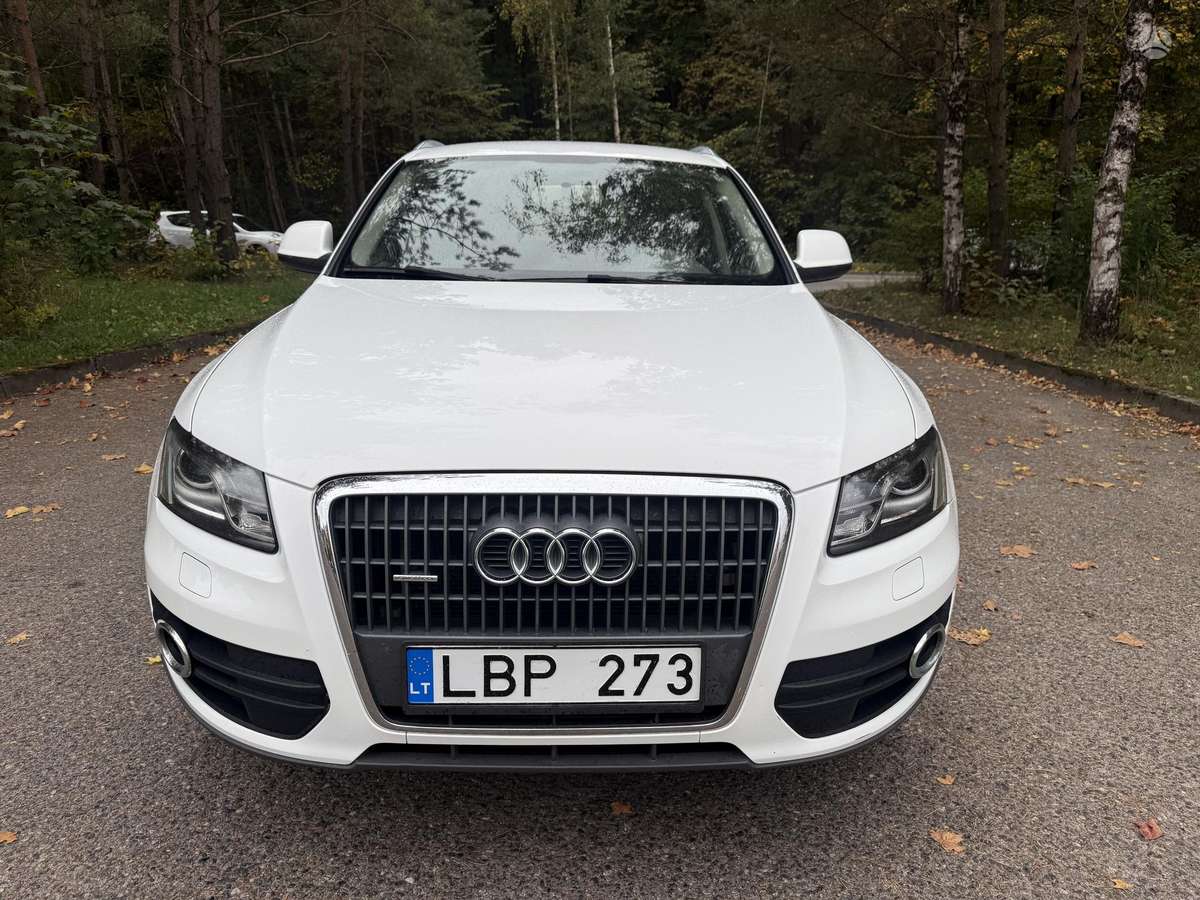 Audi Q5 2011 — вигляд ззаду