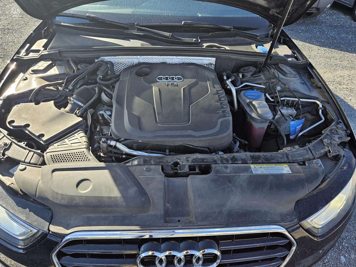 Audi A4 2015 — photo 8